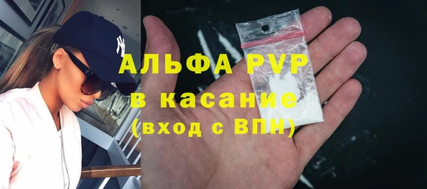 шишки Магадан