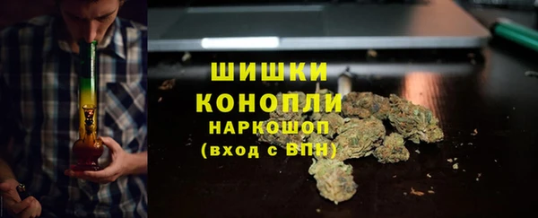 шишки Магадан