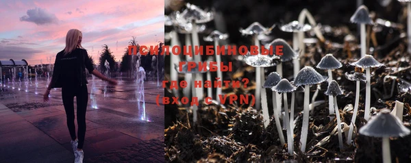 герыч Майский