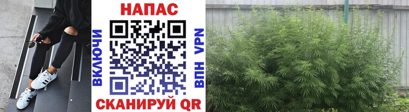 где продают наркотики  hydra tor  Канабис гибрид  Пересвет 